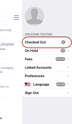 Screenshot of checkouts option